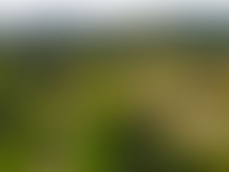 vista aerea de los lotes campestres de Valle Miraflores en Penonome rodeados de naturaleza arboles y verdor