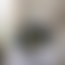 Townhouse Home refresh, Organic Modern Home Inspiration, Home Decor, 