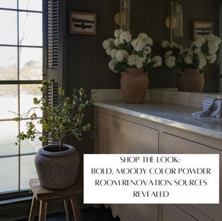 Shop the Look: Bold, Moody Color Powder Room Renovation Sources Revealed