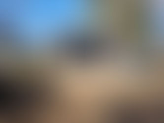 What’s Actually Included in Your Barn Quote? Questions to Ask Before You Sign