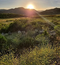 photo by Eric Trek.jpg