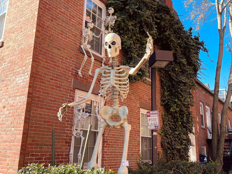 Kay's Guide to Salem