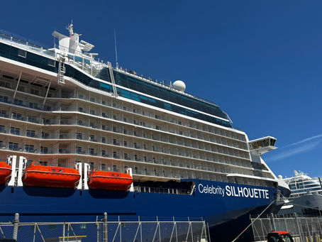 Kay's Guide to a Cruise