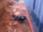 Lyons Fabrication Welding Denver