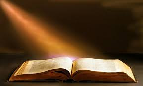 Faithful Marriage Blended Family Bible