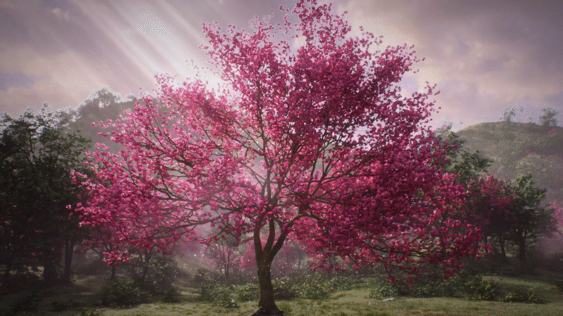 화엄사_Master_A.gif