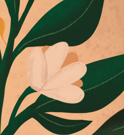 Orange-Blossom-CloseUp