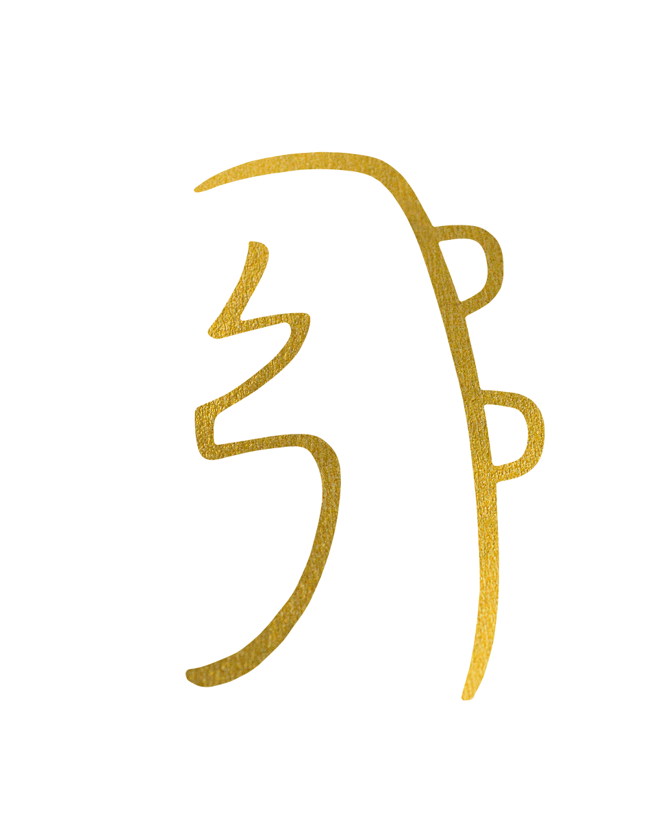 symbole oli-04-Récupéré.png