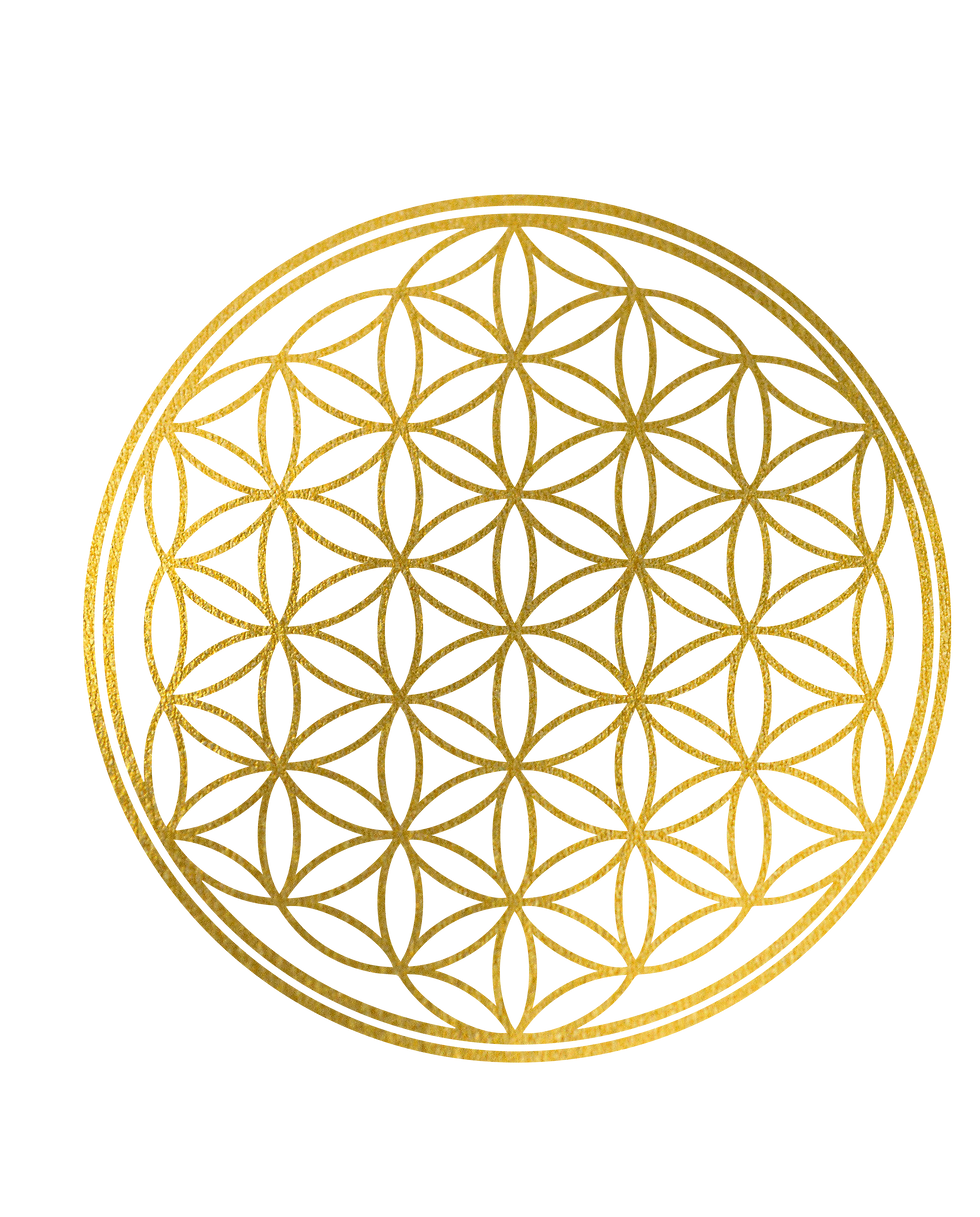 symbole oli-06.png
