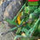 Thumbnail: John Deere 4640 4x4 Tractor