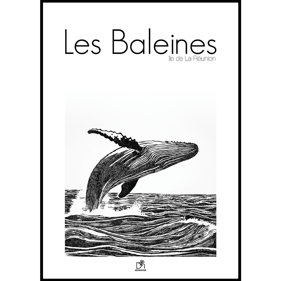 Miniature : Affiche décorative d'une baleine à La Réunion