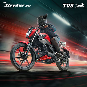 Copia de TVS Stryker 2.46 x 2.41 mts.jpg