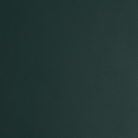 1BDX FUTURE BIO FRS- 50897