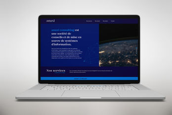 ANAXI CONSULTING
WEBDESIGN
