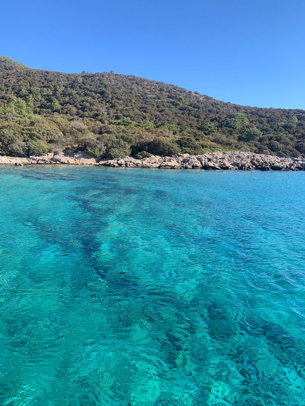 Aegean Coastline