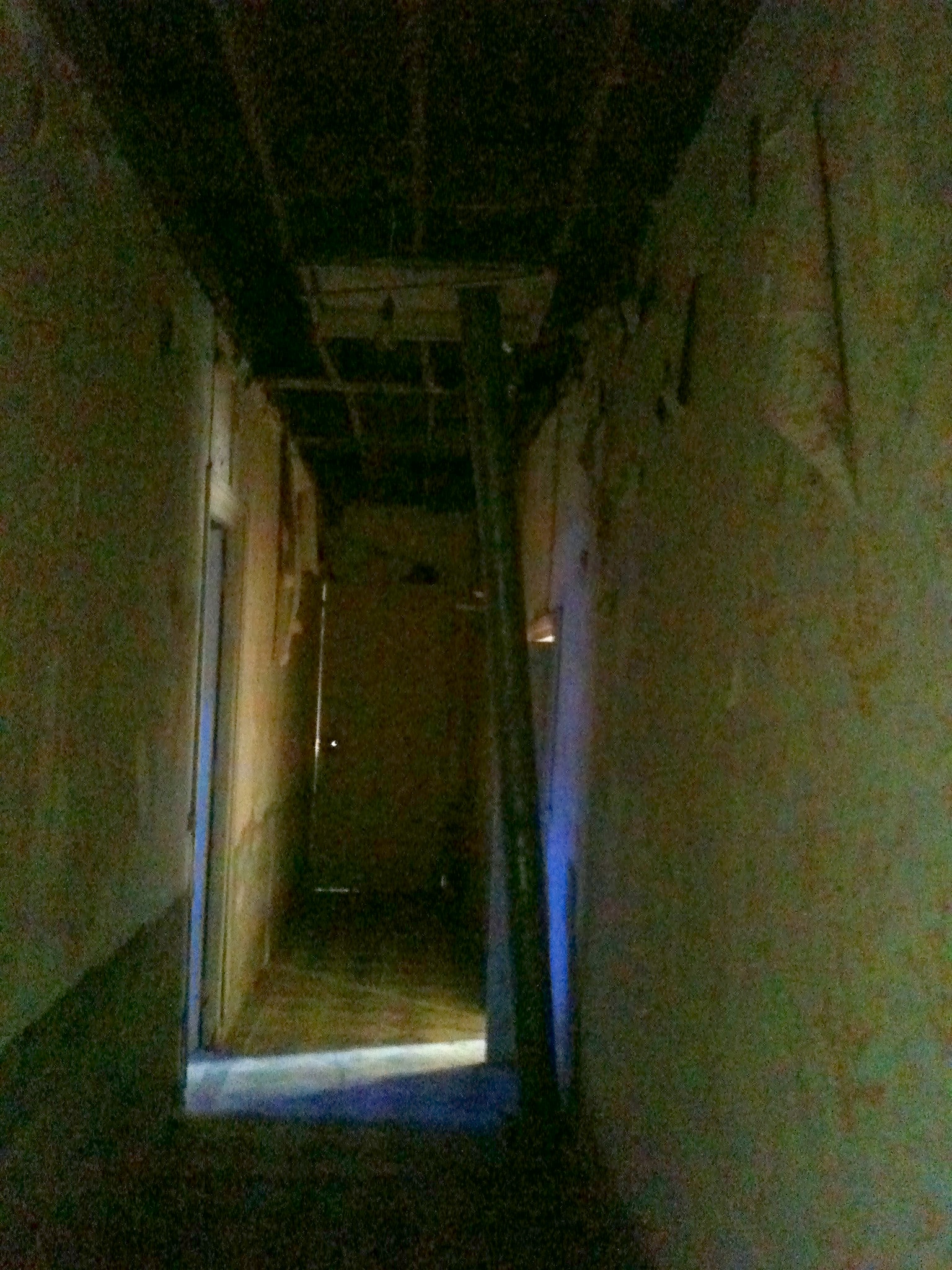 Entrée