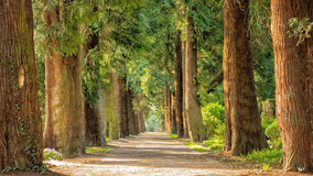 International Day For Biological Diversity