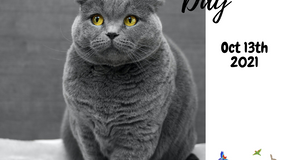 Pet Obesity Awareness Day!