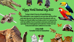 World Animal Day 2022