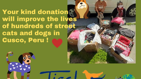 Tisol donates dozens of new dog jackets, sweaters and more for the street cats and dogs of Cusco!