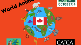 World Animal Day Canada Events