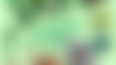 HAPPY SAINT PATRICKS DAY!