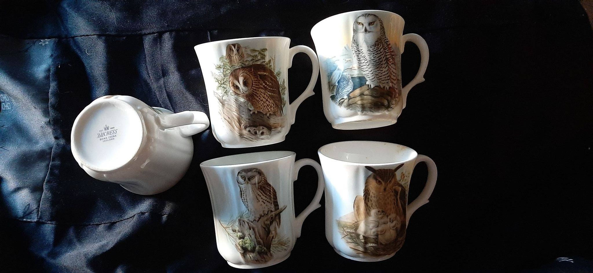 Owls mugs set