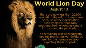 WORLD LION DAY