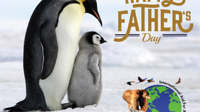 Happy Father's Day!