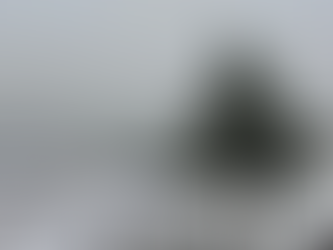 There is No Better Time to Pause