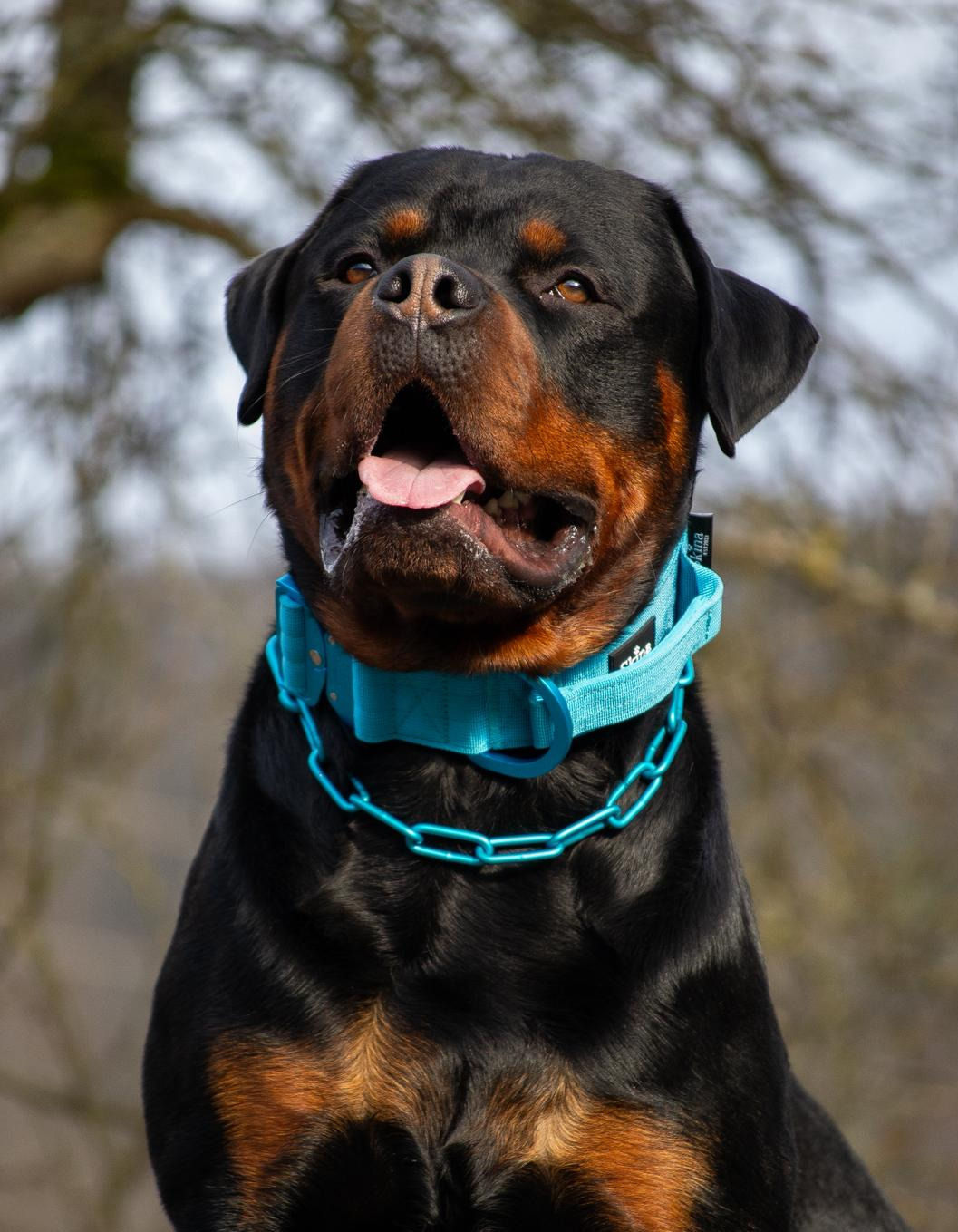 Skina Halsbänder Ultraleicht