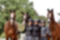 Reitanlage Blunck-Erichsen, Freienwill, Kreis Schleswig-Flensburg, Beritt, Dressurstall, Verkaufspferde, Arne van Heel