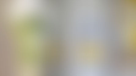 Kleinsolter KIDS CUP 2025