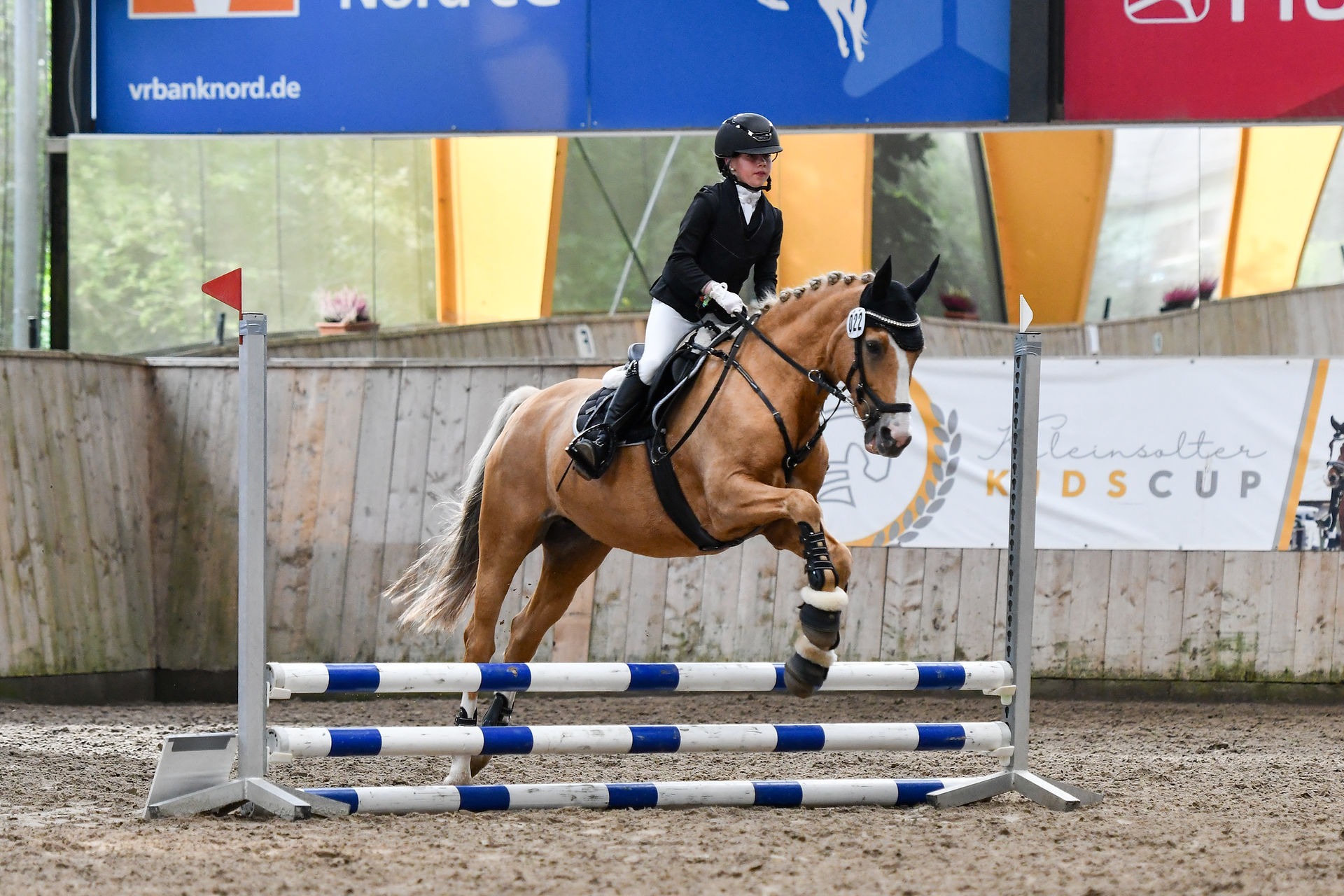 Kleinsolter KidsCup, WBO-Turnier, Reitertag, PSG Flensburg-Land e.V.