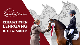 Reitabzeichenlehrgang im Oktober
