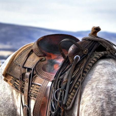 Finding the Right Saddle Pad for Your Horse