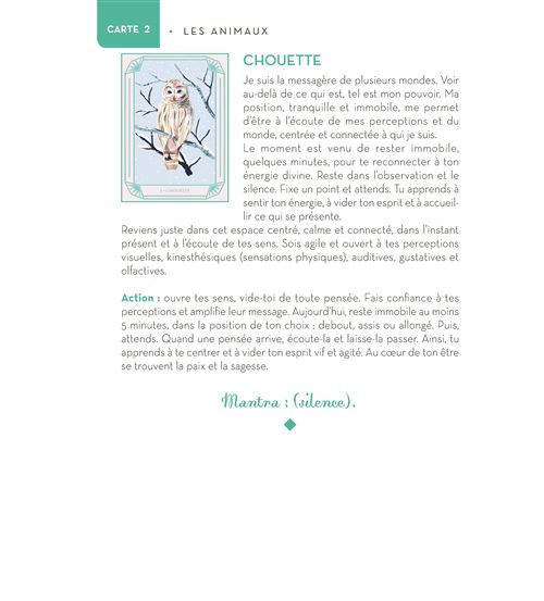 Miniature : Coffret Mon oracle magique : Nature