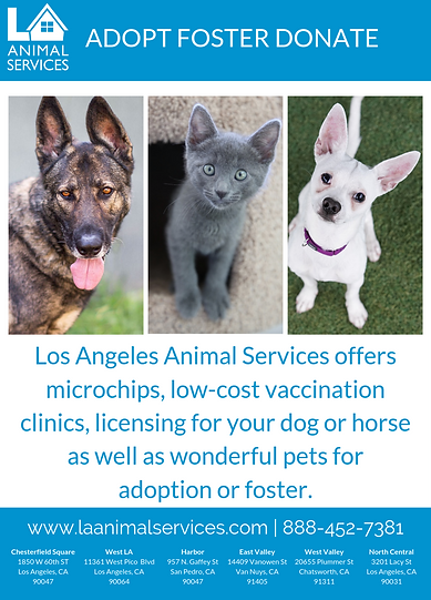 LAAS Flyer (1).png