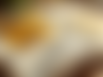 Creative Album Designs: BJH Photography's Artistic Approach