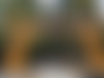 Johnston Canyon to Ink Pots