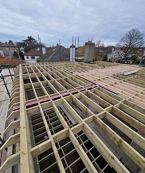 Local Builder Dublin (1).jpg