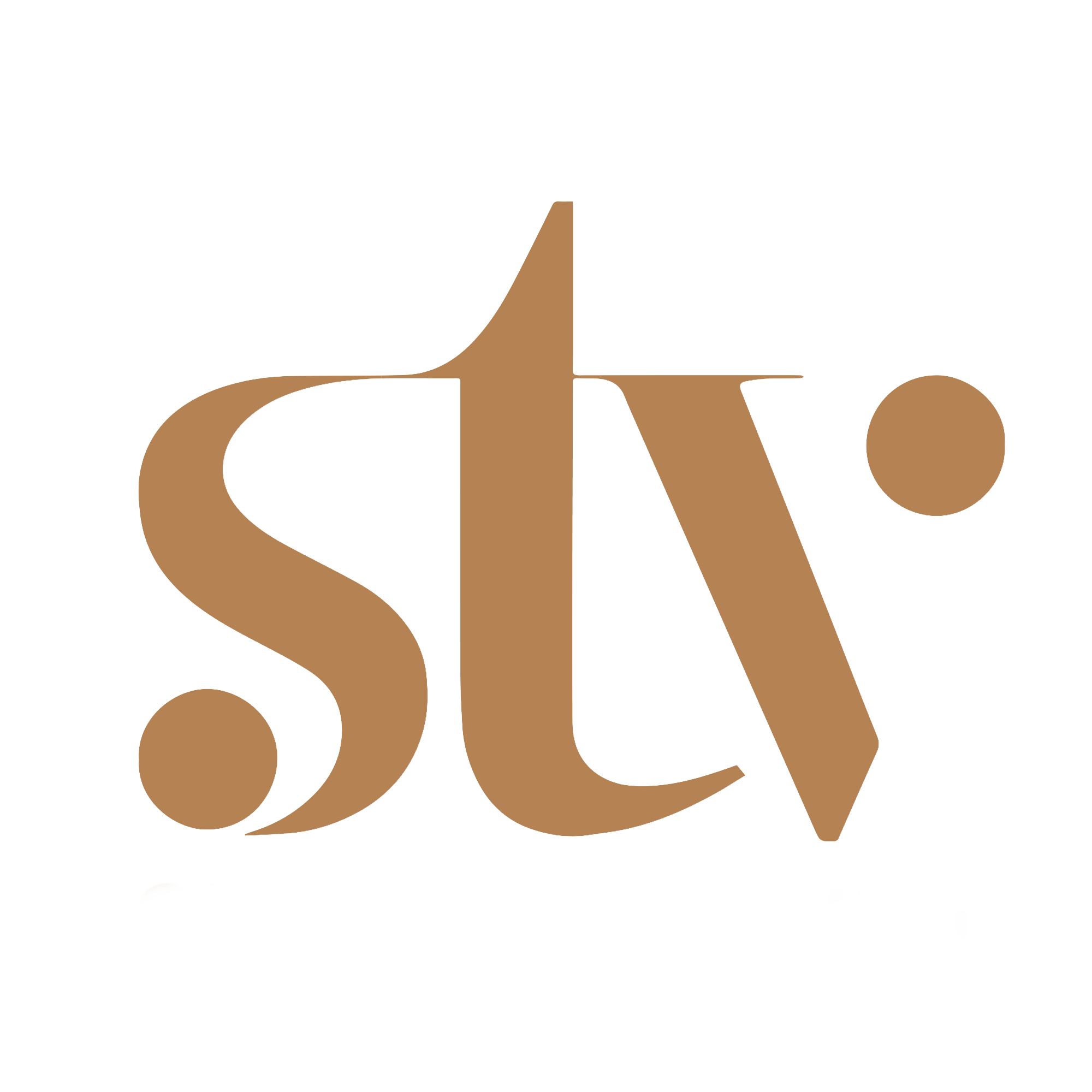 Brown STV LOGO (1).png