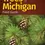 Thumbnail: Trees of Michigan Field Guide