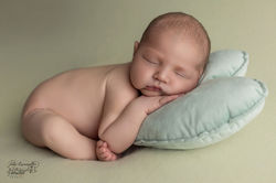 Posing nouveau né semi taco