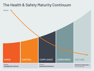 The Health & Safety Maturity Scale 