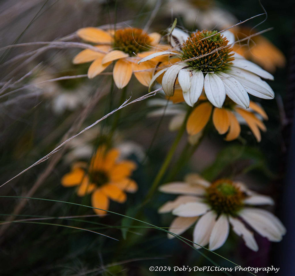 Thumbnail: Nature-Inspired Print