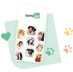 u dieren ook verzekerd via een verzekering bij santévet