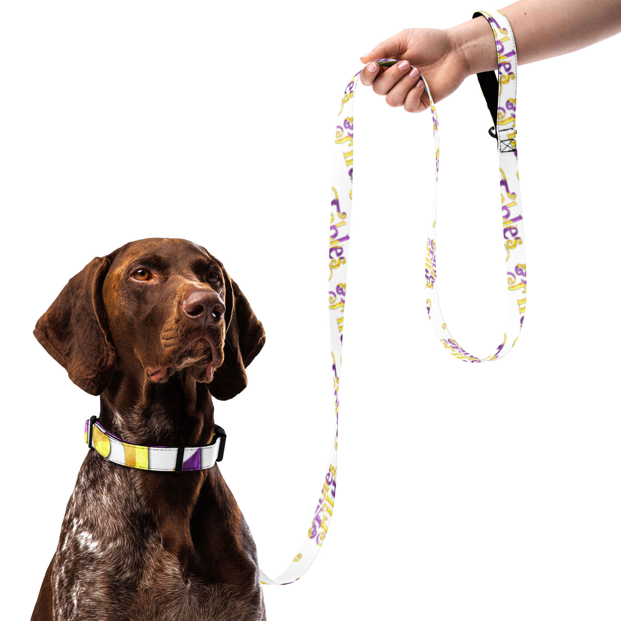 Fables Pet Collar & Leash
