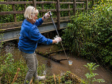 Extremely High E. coli Levels Detected in Danestream Milford-on-Sea