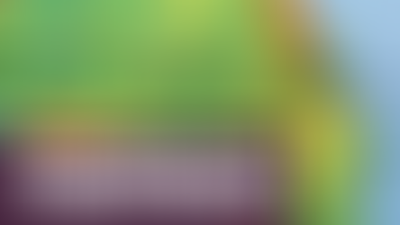 O que a CI Irlanda tem?